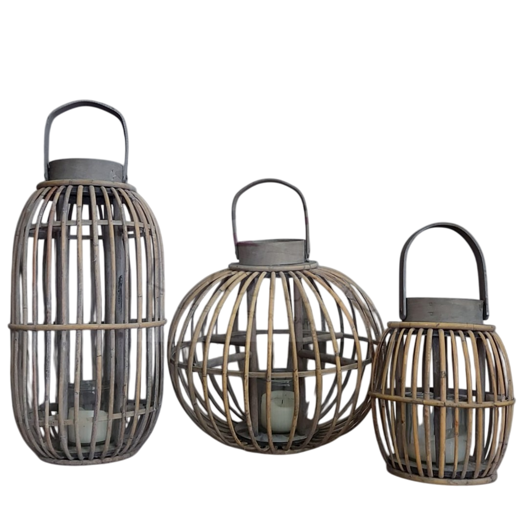 Lanterna bambu ovulada