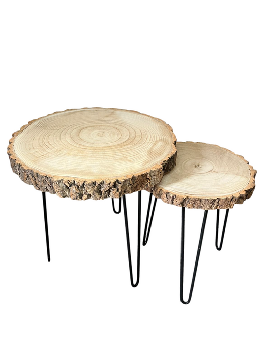 Conjunto tronco bosque