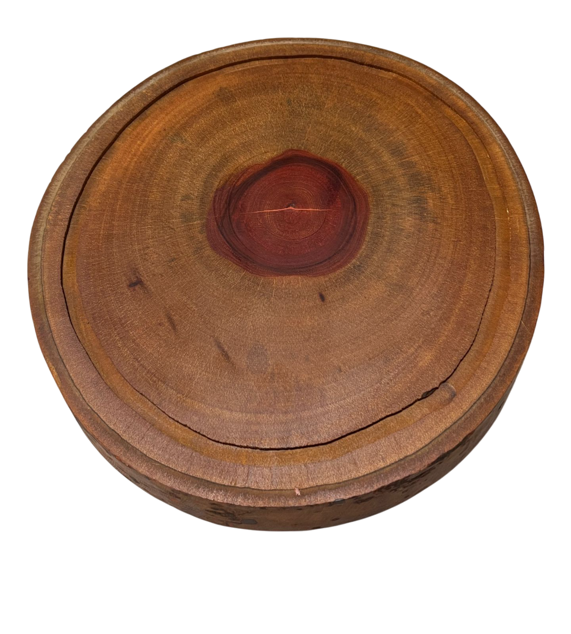 Boleira tronco escura