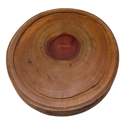 Boleira tronco escura