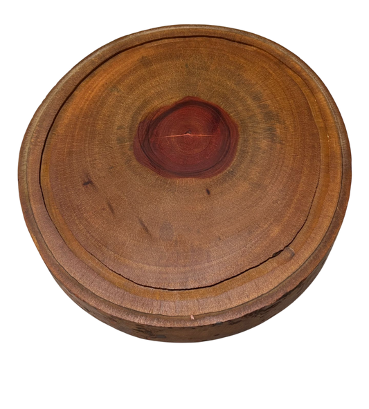 Boleira tronco escura
