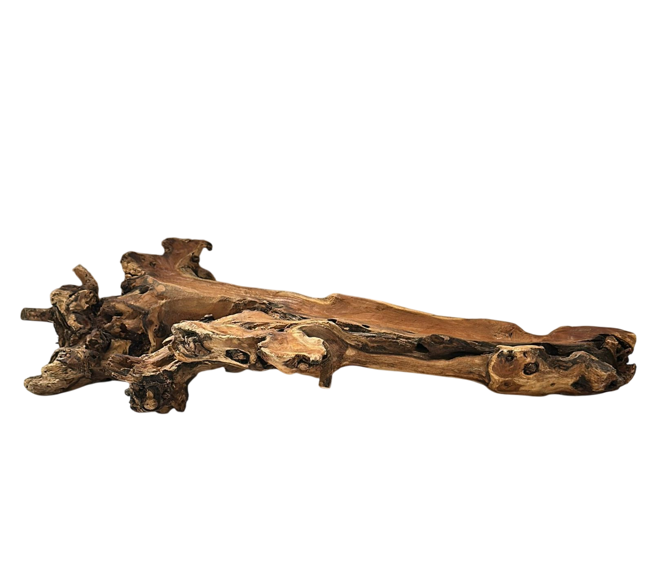 Tronco madeira