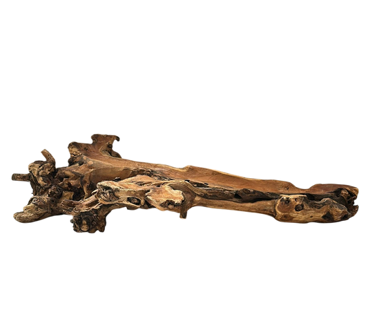 Tronco madeira